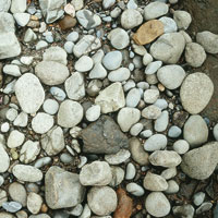 Diferentes tipos de sedimentos arrastrados por la corriente del Magdalena.