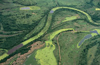 La depresin Momposina se form por el movimiento de placas tectnicas, lo que produjo el hundimiento de la regin, varios metros por debajo del nivel del mar.
