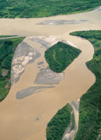 A lo largo de su recorrido y debido a las fluctuaciones del nivel de las aguas, el ro rebasa su cuenca e inunda los terrenos aledaos. La fauna y la flora de las riberas se han adaptado a las condiciones particulares de este ambiente efmero.
Isla tempor