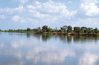 A lo largo de su recorrido y debido a las fluctuaciones del nivel de las aguas, el ro rebasa su cuenca e inunda los terrenos aledaos. La fauna y la flora de las riberas se han adaptado a las condiciones particulares de este ambiente efmero. En la desem