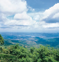 Valle del Magdalena antes de llegar a los rpidos de Honda.