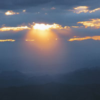 La gran riqueza hdrica, unida a la radiacin solar directa sobre la franja del ecuador, le confiere a los ecosistemas tropicales un ambiente propicio para el desarrollo de una magnfica biodiversidad.