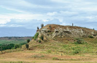 Las sabanas se caracterizan por el predominio de las gramneas y la presencia de rboles muy dispersos; la vitalidad de esta vegetacin vara de acuerdo con las fuertes fluctuaciones estacionales. Sabanas de la zona semirida de las cercanas del desierto