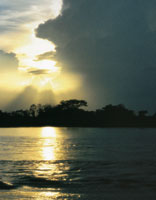 Al caer la noche sobre las aguas del Magdalena, la oscuridad cubre el maravilloso medio natural que prolifera gracias al generoso aporte del ro.