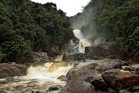 Imponentes torrentes descienden por las laderas lluviosas de la cordillera Occidental. Cascadas de Tapartó cerca de Andes, Antioquia. 