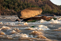 La Piedra El Balancín en el raudal Maipures, río Orinoco, departamento del Vichada, desafía las corrientes en temporada invernal.