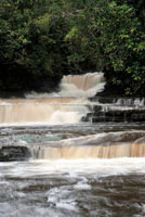 Las cascadas de La Chorrera en el curso medio del río Igaraparaná, son muy respetadas por los pueblos indígenas de la Amazonia. 