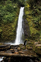 Cascada El Oasis, un pequeño tesoro escondido en el departamento de Caldas.
