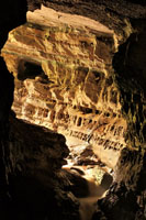Muchas culturas han venerado el agua que brota de las entrañas de la tierra. Parque Nacional Natural Cueva de Los Guácharos, departamento del Huila. 