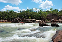 Pescadores deportivos en los raudales del río Tuparro, Orinoquia colombiana.