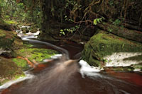 Casacadas de la quebrada La Lindosa, valle del río Suaza, Huila.