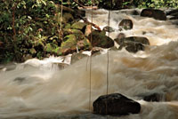 Por el gran poder que tiene el agua para erosionar, la mayoría de las caídas de agua tienden a convertirse en raudales sobre un lecho rocoso. Detalle de La Chorrera, Guaviare.