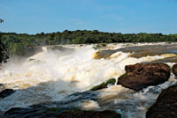 El raudal Jirijirimo es en realidad una catarata de más de 50 m de altura por la que fluye el río Apaporis.