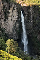 Los escarpes que dan origen a las caídas de agua pueden ser el resultado del desplazamiento vertical de fallas geológicas o de la erosión y disolución de rocas ricas en sales de carbonato. Salto del río Molinos, Caldas.