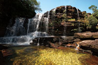 El agua que cae y se estrella contra rocas dispuestas sin orden, teñidas con matices de verdes, ocres y amarillos, es una hermosa manifestación de la naturaleza. Caño Cristales, Serranía de La Macarena.