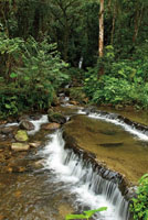 Altura y caudal, tamaño y forma, sonido y entorno de las caídas de agua, son inmensamente variables. Termales de Santa Rosa de Cabal, Risaralda.