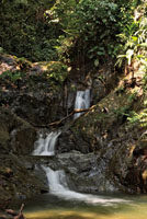La altura, el caudal, la geometría y la apreciación estética hacen parte de los sistemas de clasificación de las caídas de agua. Caída escalonada en el departamento del Chocó. 