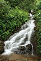 Cascada con peldaños estrechos en la Reserva de Aguas de Manizales.