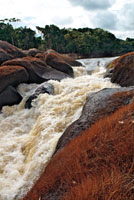 Tobogán en el raudal Santacruz del río Vaupés.