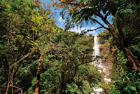 La naturaleza del entorno de las caídas de agua es uno de los principales atributos en la estimación de su valor paisajístico. Salto Juan Curí, Santander.