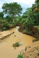 Quebrada estacional en la reserva La Laguna en los Montes de Mara, departamento de Bolvar.
