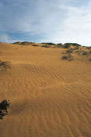 Las zonas ridas y semidesrticas, bsicamente se desarrollaron en las latitudes intermedias de ambos hemisferios, cerca de los trpicos de Cncer y de Capricornio