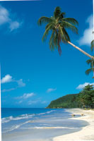 
En la regin del Caribe, la insolacin es mxima durante la poca de solsticio.
