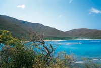 Los tonos de ocre y gris dominan el paisaje durante la sequa.