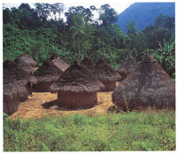 Los indgenas actuales que habitan la Sierra han conservado en sus poblados la simbologa y el concepto de la construccin heredados de los Tayronas.