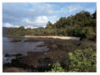 La serrana se incrsta en el ocano Pacfico y forma bellas ensenadas como la de Utra.