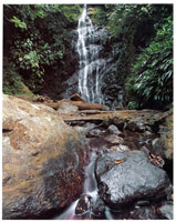 Prcticamente es imposible hacer un recuento detallado de las microcuencas y quebradas que descienden de la serrana del Baud-Los Saltos, aunque se estima que el recurso hdrico de esta zona es uno de los ms altos del mundo.