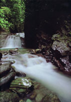 La serrana del Darin es una estructura montaosa que Colombia comparte con Panam. Debido a lo intrincado de sus selvas ha logrado mantener su riqueza biolgica.