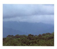 Las grandes obras de infraestructura proyectadas para la regin han derribado el rea; sin embargo, gracias a la conciencia ambiental, se estn desarrollando planes de proteccin que han mostrado su eficacia.