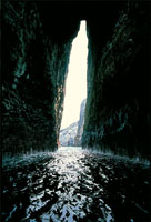 En el rea del Pacfico colombiano se encuentran varias placas tectnicas que han generado cordilleras marinas de origen volcnico, una de las cuales se manifiesta en la superficie a travs de la isla de Malpelo.