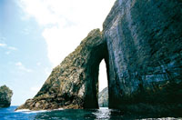 La mayor parte de los accidentes geogrficos, como la isla de Malpelo en el Pacfico colombiano, son causados por el choque de las placas terrestres.