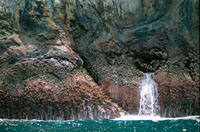 Litoral rocoso en la isla de Malpelo, localizada en el Pacfico colombiano, a 330 km del litoral, frente al puerto de Buenaventura.