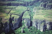 Formaciones rocosas en los tepuyes de la serran�a de Chiribiquete.