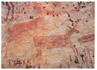 En la serran�a de Chiribiquete existe un riqu�simo conjunto de pictograf�as; en ellas sobresalen las escenas de caza que representan con incre�ble realismo venados coliblancos, propios de los ecosistemas circundantes de sabana.