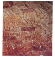 Hasta ahora se han encontrado en los abrigos rocosos, m�s de mil dibujos que representan elementos de la fauna y la flora rodeados por diversas escenas de caza.