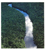 Las aguas negras caracter�sticas de las dos serran�as son extremadamente pobres en nutrientes  y en elementos bi�ticos.